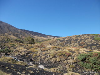 nte Corvo-01-11-2012 11-02-33